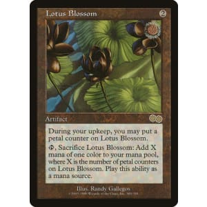 Lotus Blossom