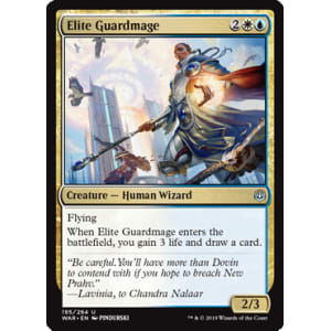 Elite Guardmage