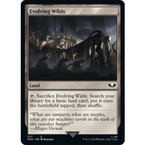 Evolving Wilds