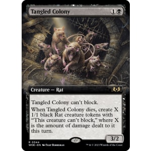 Tangled Colony