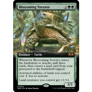 Blossoming Tortoise