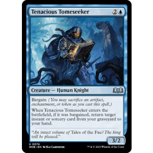 Tenacious Tomeseeker