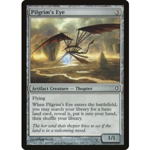 Pilgrim's Eye