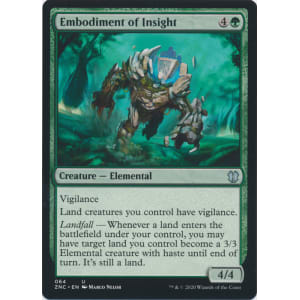 Embodiment of Insight