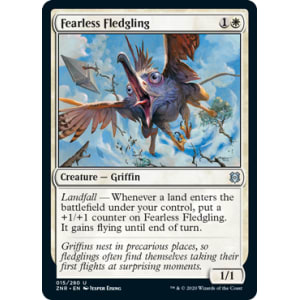 Fearless Fledgling