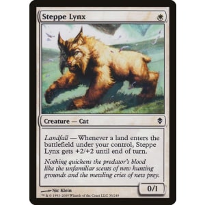 Steppe Lynx
