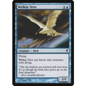 Welkin Tern