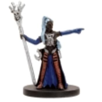 Drow Wizard - 50