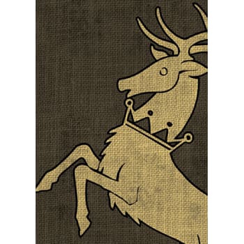 House Baratheon Sleeves