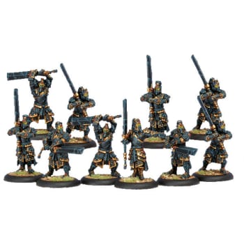 Skorne Immortals Unit Box