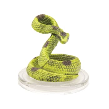 Giant Poisonous Snake - 017