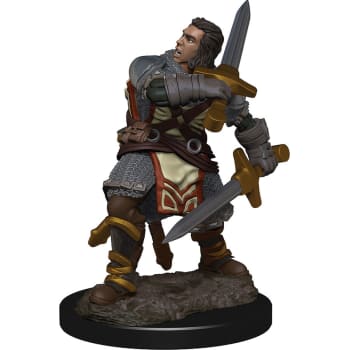 D&D Icons of The Realms Premium: Human Male / Fighter