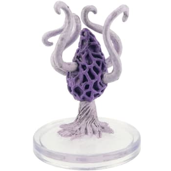 Violet Fungus - 01