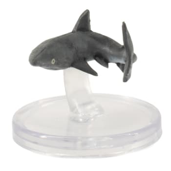 Reef Shark - 009