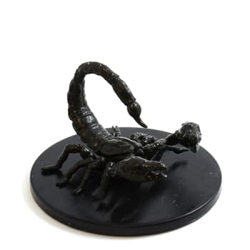 Giant Scorpion - 029