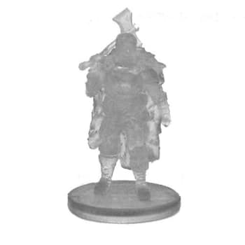 Northlands Fighter (Invisible) - 50