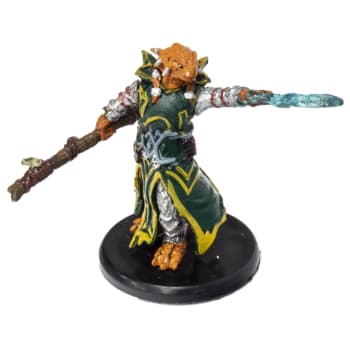 Dragonborn Draconic Sorcerer (Green Robe) - 12b