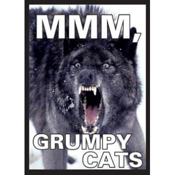 Wolf MMM, Grumpy Cats Sleeves