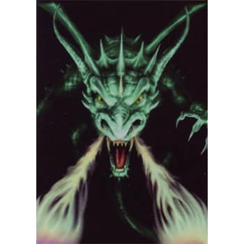 Green Dragon Sleeves