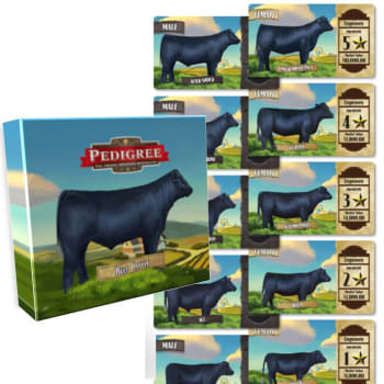 Pedigree Deck - Beef Cattle