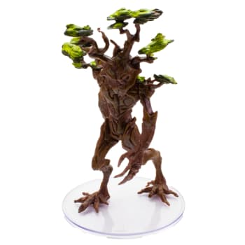 Arboreal Regent - 34