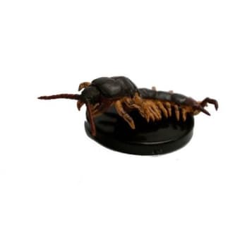 Giant Centipede - 11/51