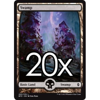 20 Battle for Zendikar Swamp D 263 - Basic Land