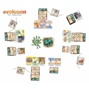 Evolution: The Beginning