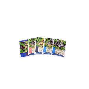 Imperial Settlers: Amazons Expansion