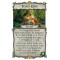 Talisman: The Woodland Expansion