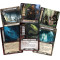 The Lord of the Rings LCG: The Drowned Ruins Adventure Pack