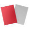 Dragon Shield Sleeves: Dual Matte Art - Crimson & Silver (100)