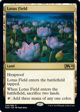 Lotus Field