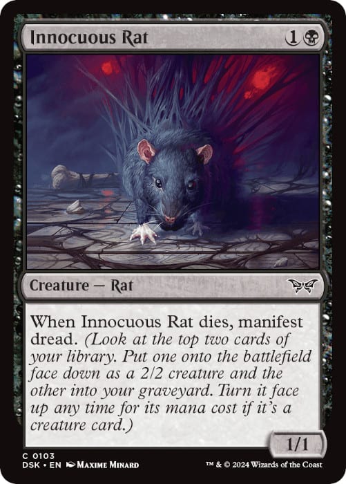 Innocuous Rat