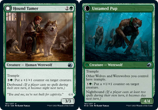 Hound Tamer // Untamed Pup