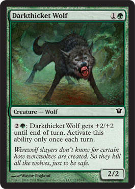 Darkthicket Wolf