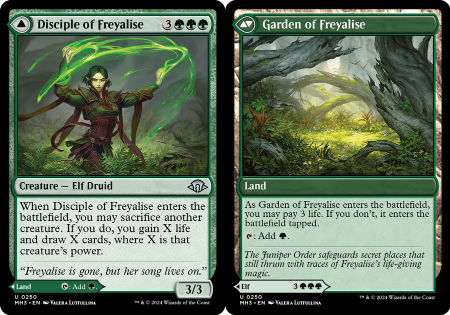 Disciple of Freyalise