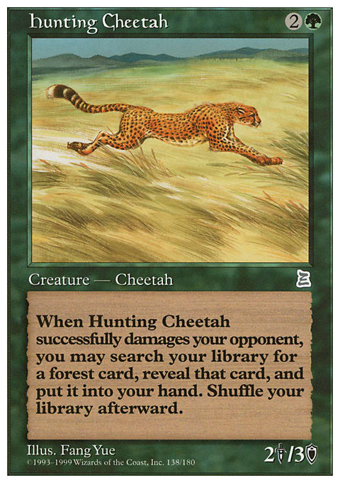 Hunting Cheetah