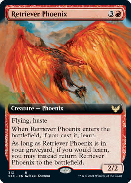 Retriever Phoenix