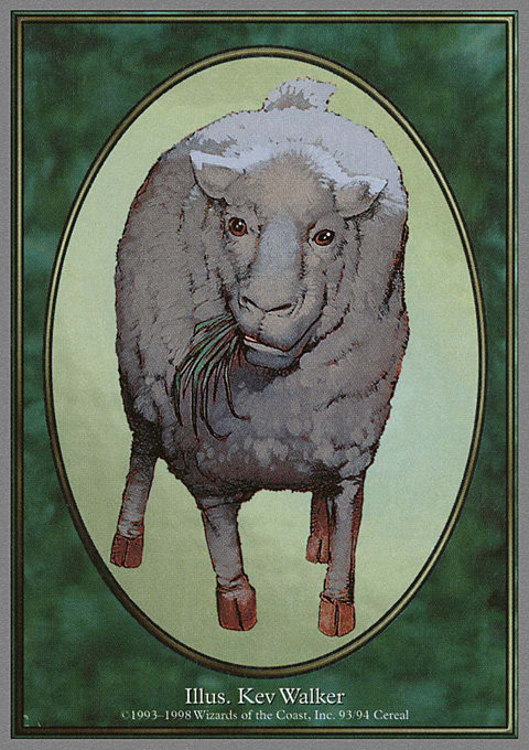 Sheep