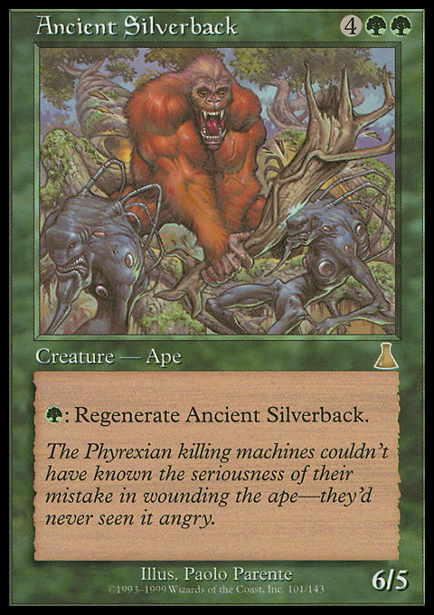 Ancient Silverback