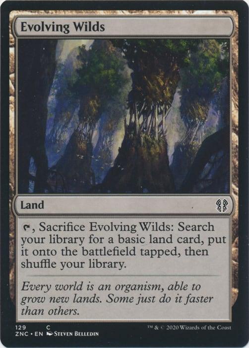 Evolving Wilds