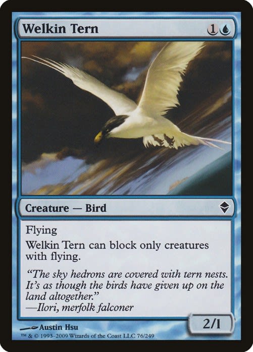 welkin tern