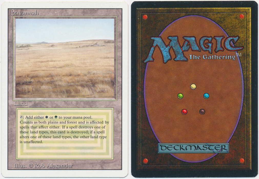 Unique image for Savannah