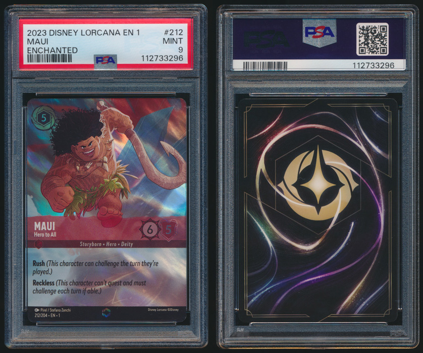 Unique image for Maui - Hero to All