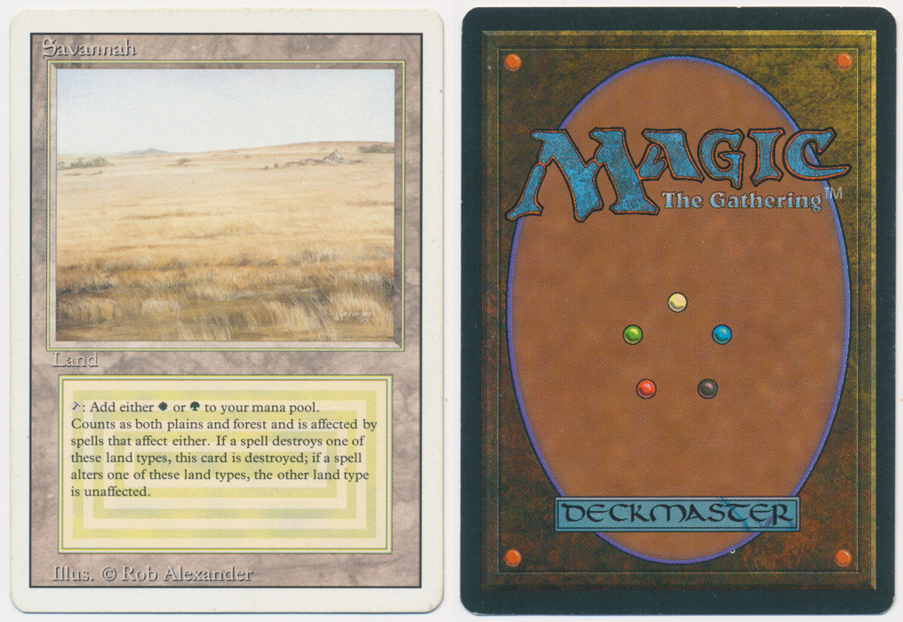 Unique image for Savannah