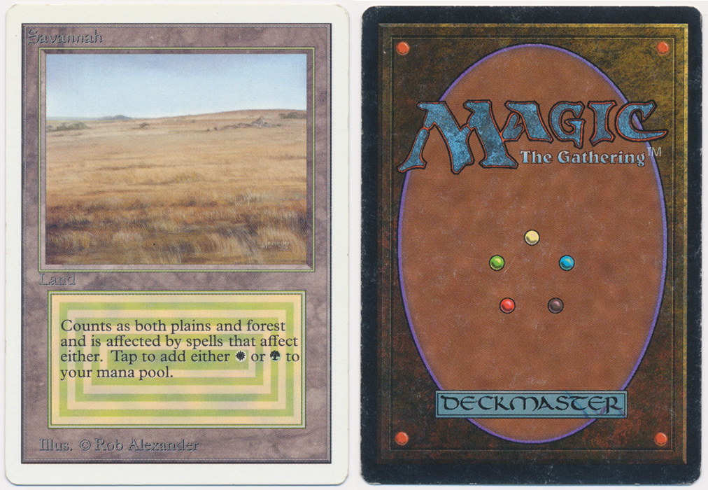 Unique image for Savannah