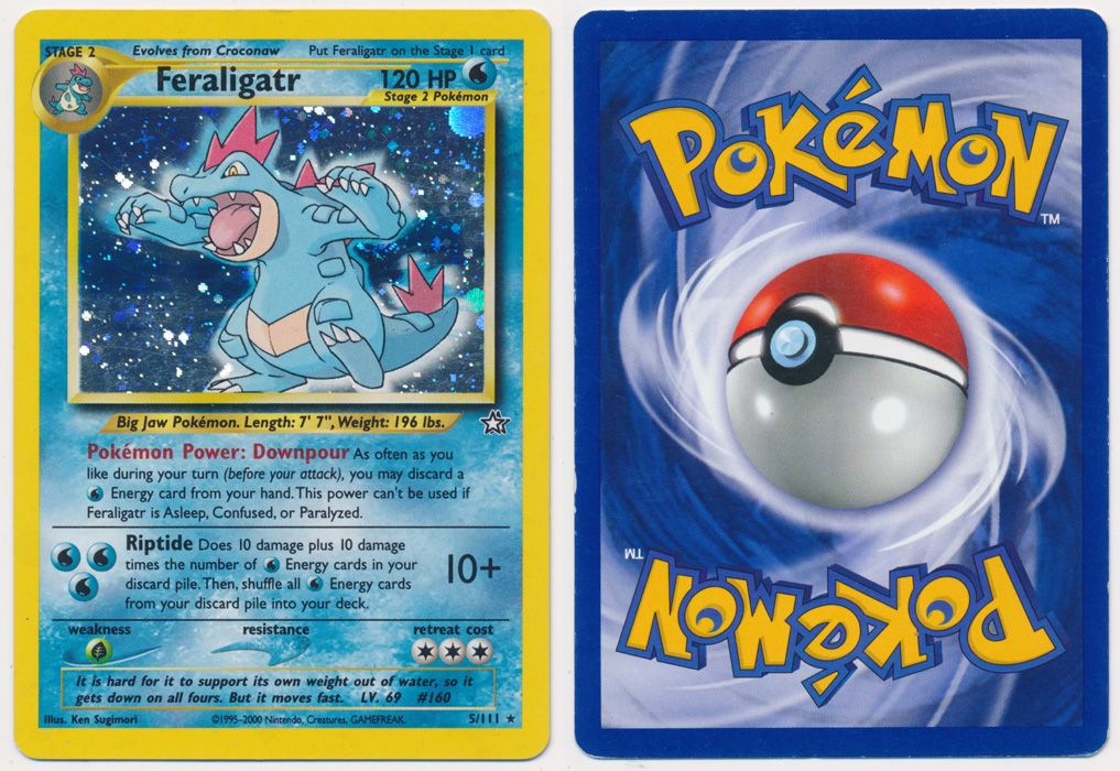 Unique image for Feraligatr - 5/111