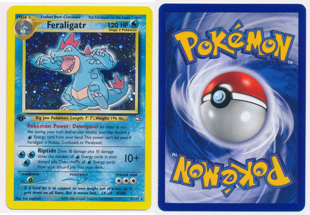 Unique image for Feraligatr - 5/111