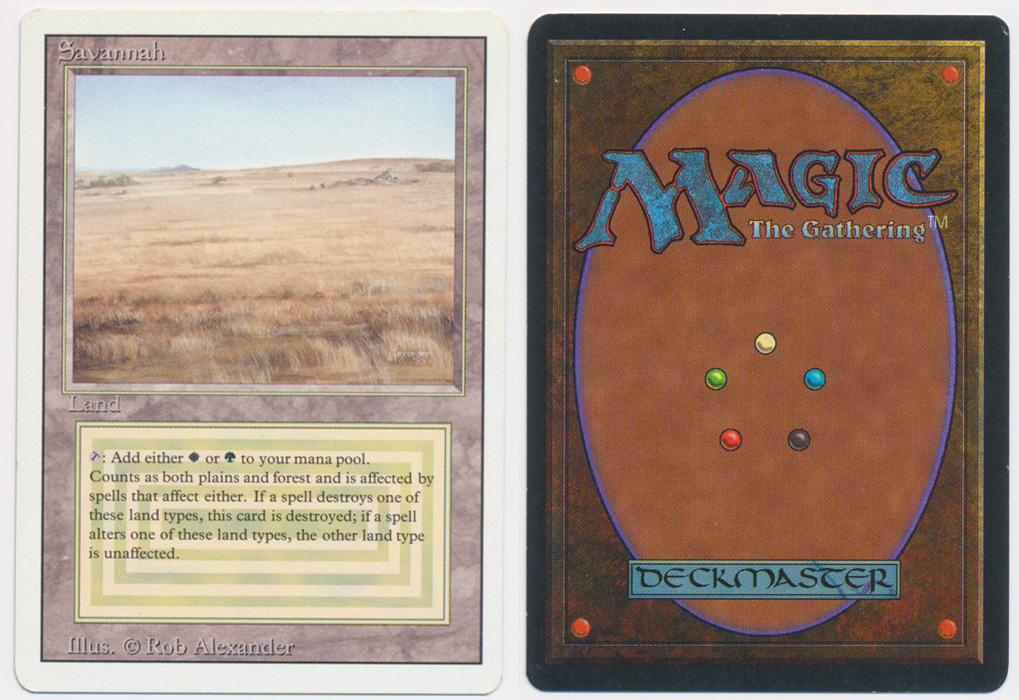 Unique image for Savannah